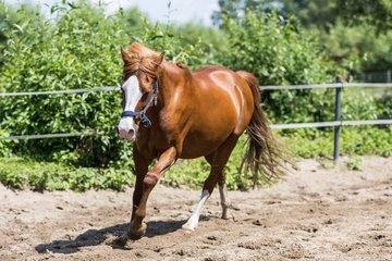 Bild 155 - Vivi